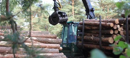 Holzvermarktung FBG Ostheide / Lüchow Dannenberg
