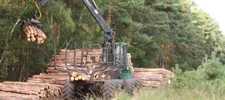 Brennholz von der FBG Celle - ein Bild mit gespalteten und gestapelten Holz
