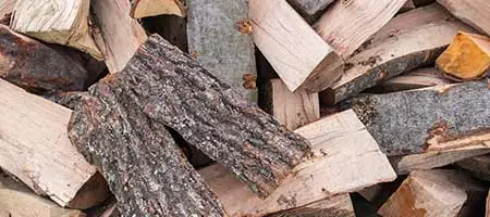 Brennholz Verkauf Gifhorn Wolfsburg - FBG Südheide